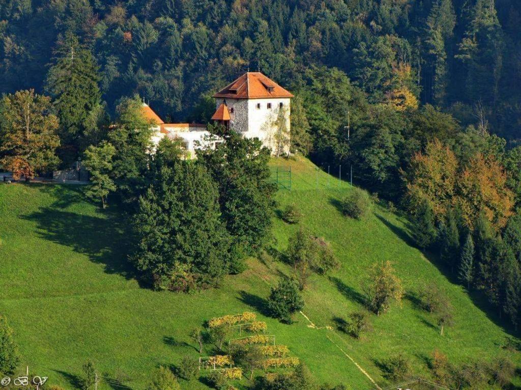 Penzion Park Laško Exteriér fotografie